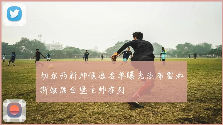 切尔西新帅候选名单曝光法布雷加斯缺席白堡主帅在列