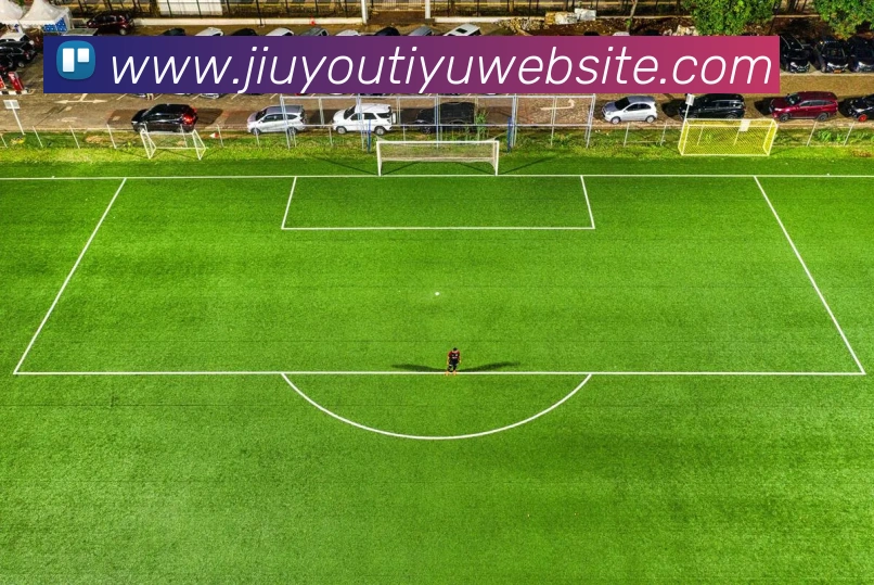 多媒体互动体验