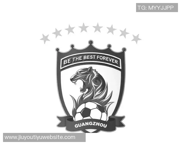 广州豹官方回应个别球迷违法行为公安已介入处理确保赛场秩序 广州豹官方回应个别球迷违法行为公安已介入处理确保赛场秩序